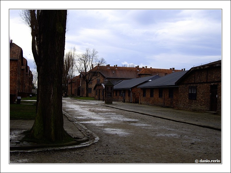 IMGP2295_GF.jpg